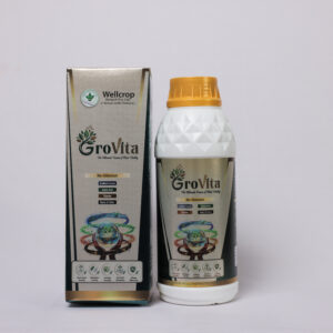 GroVita