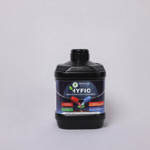 Hyfic Boron–Glycine