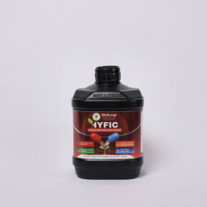 Hyfic Potash Fortified with Silicon