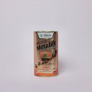 MetaLife HD
