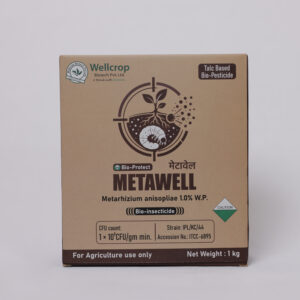 MetaWell