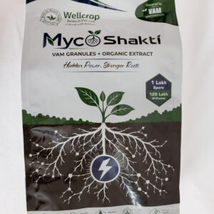 Mycoshakti