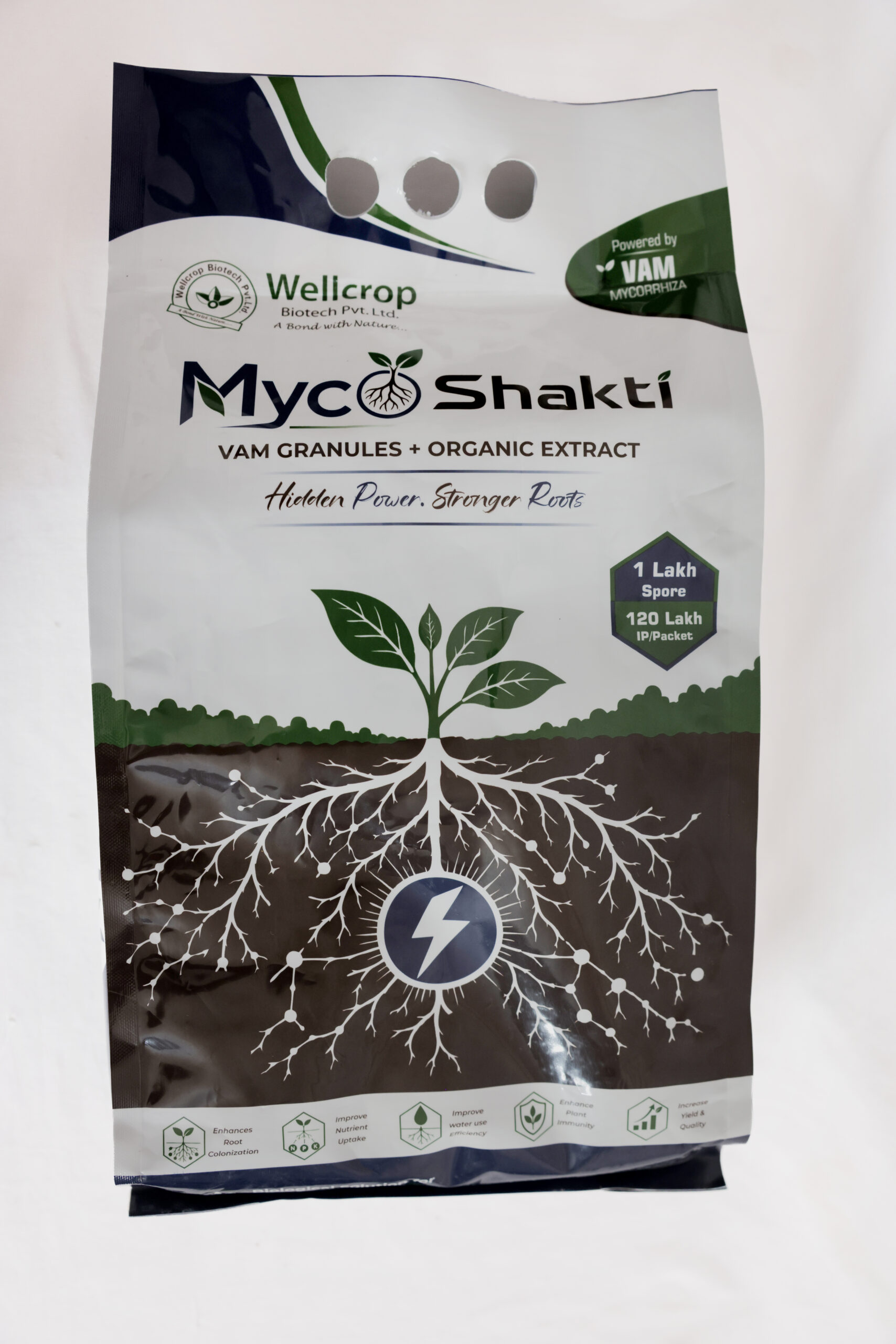 Mycoshakti
