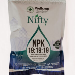 Nifty NPK 19:19:19