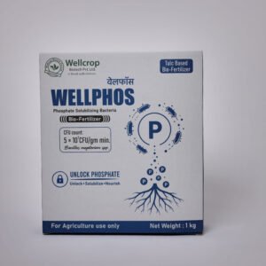 WellPhos