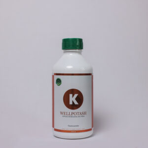 WellPotash