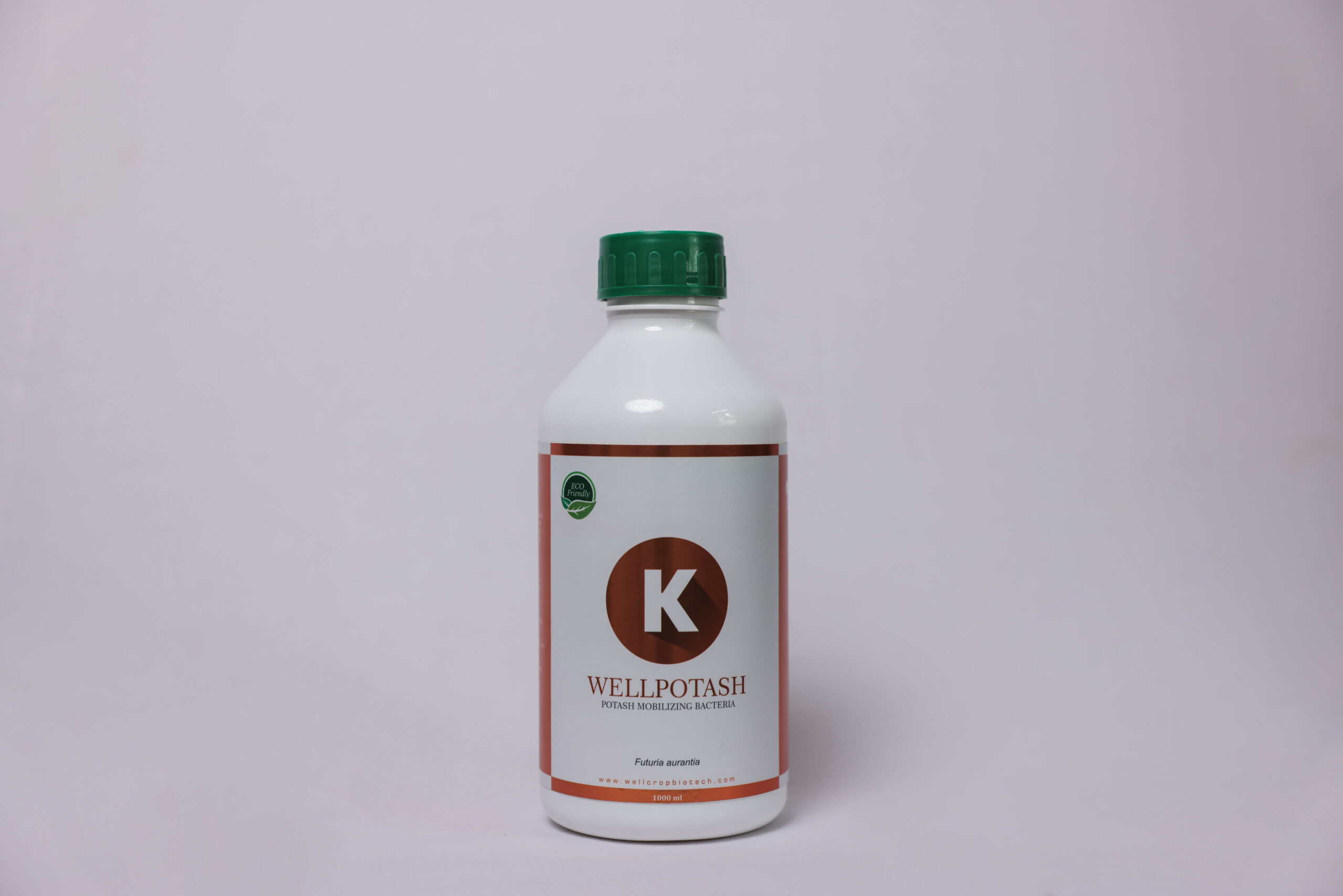 WellPotash