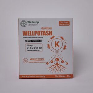 WellPotash