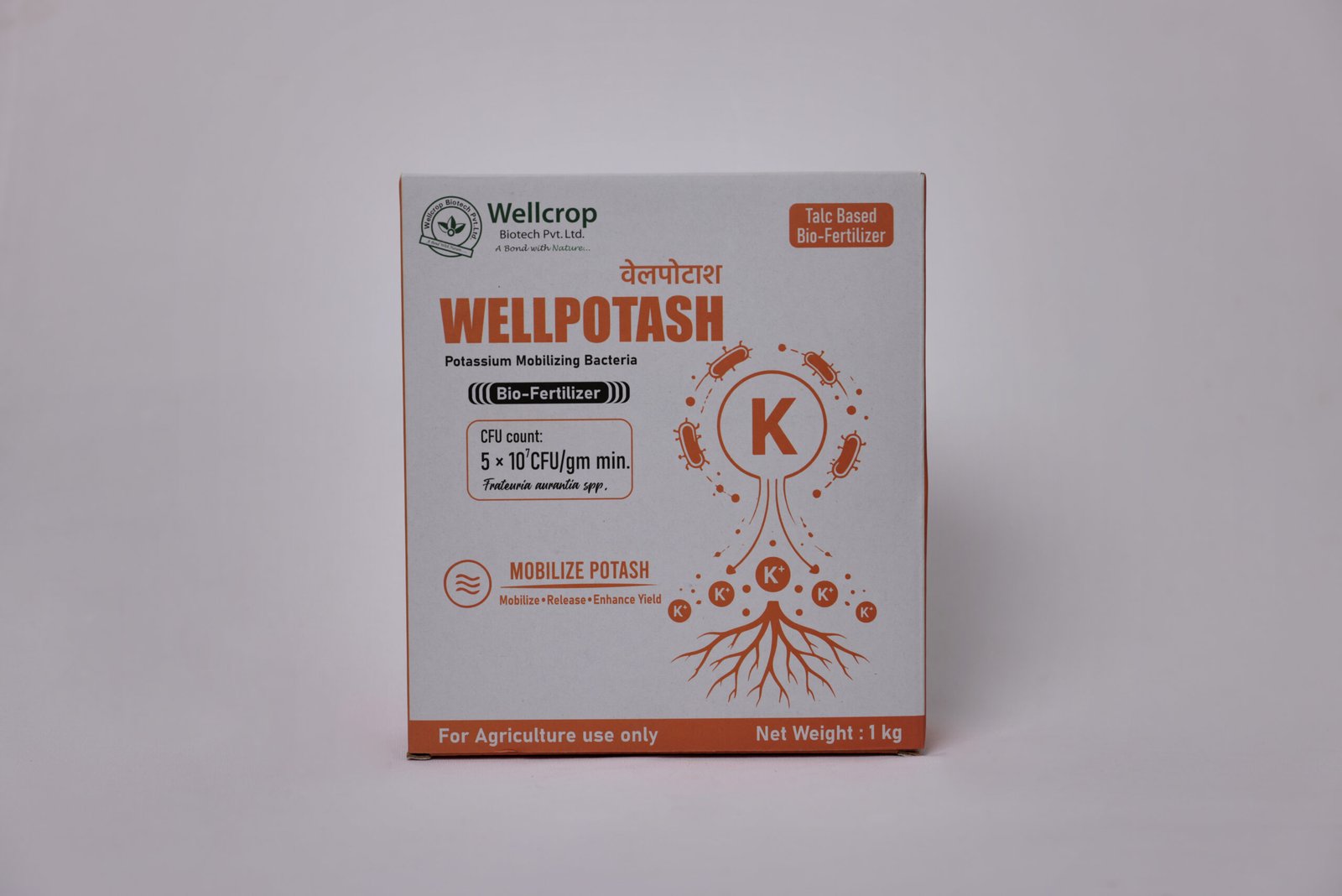 WellPotash